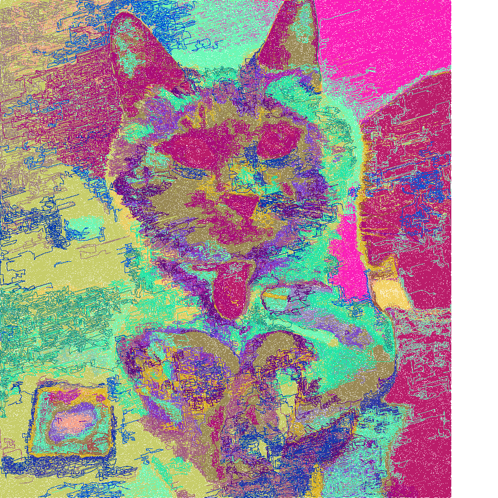 cat with random colors.
