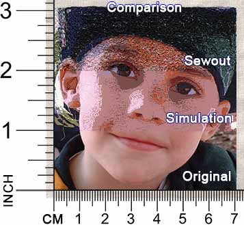 images showing comparison of sewout, simulation, and original image